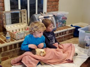 Evan holding a Guinea pig at Santino's birthday party. 