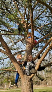 Jarek, Arya, and Evan partaking in one of their favorite pastimes - climbing trees. 