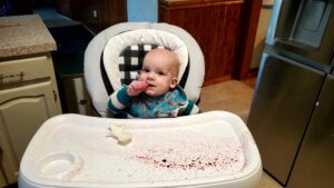 Garrett has slain some blueberries for a snack. 