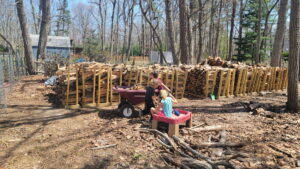 Jarek and Arya are helping Alan stack some firewood. We had 20 face cords (racks) and we used about 2/3s of it over the winter with the wood burning insert. 