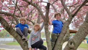 Jarek, Arya, and Evan hanging out in a tree in the spring!