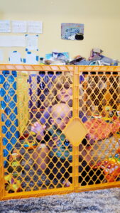 The kids loved to play with Garrett. We set up a pen / play area in the living room for Garrett. He was OK with it for a bit, but then soon demanded to be released from his prison. 