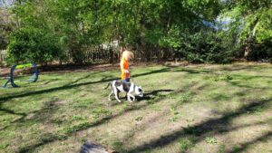 Arya walking one of the Home School family's dog, Boo. We dog sat the dog for a few days while they were out of town. 