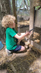 Evan helps cut the fence for the installation of our automatic chicken coop door. Both he and Arya wanted to help with the installation. 