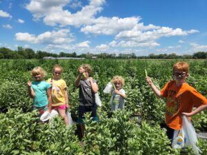 Off to the U-pick farm for some fresh vegetables!