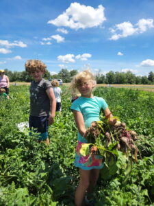 `The kids were very excited about picking their own!