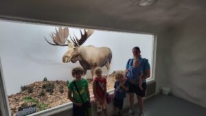 Arriving in Cave City, KY, we swung by the local Mammoth Cave Wild Life Museum. It was a surprisingly good visit with quite the array of birds, animals, and insects. The kids really enjoyed it and got to see all the different types of animals. 