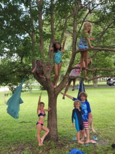 The local Tree Monkeys in their natural habitat. 