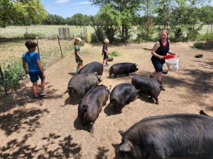 From there, it was to see Ms. Pam, and her pig farm. The kids were very excited to learn about raising pigs, and we were the grateful recipients of awesome pork products!