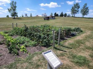 The Heirloom Garden on the site. 