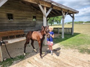 Arya standing with the colt. 