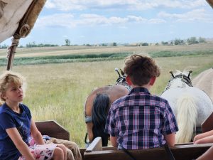 Each of the kids got a chance to drive. Jarek has the reins here. 