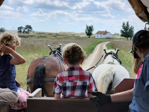 Each of the kids got a chance to drive. Evan has the reins here. 