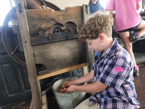 Jarek works the corn shucking machine. The corn cobs were then used to make corn cob dolls. 