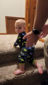 Daredevil Ducky here. He managed to ninja up the stairs before we stopped him. So Alan followed him up so he could get the satisfaction of climbing!