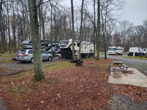 Our home for the month of November to December. Referred to as "swampy hollow."