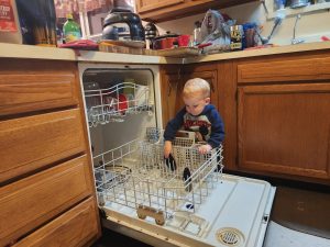 At a "Family Dinner Night", Garrett helps load the dishwasher afterward. He is very interested in helping to clean up. 